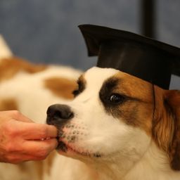 photograph by PeterW